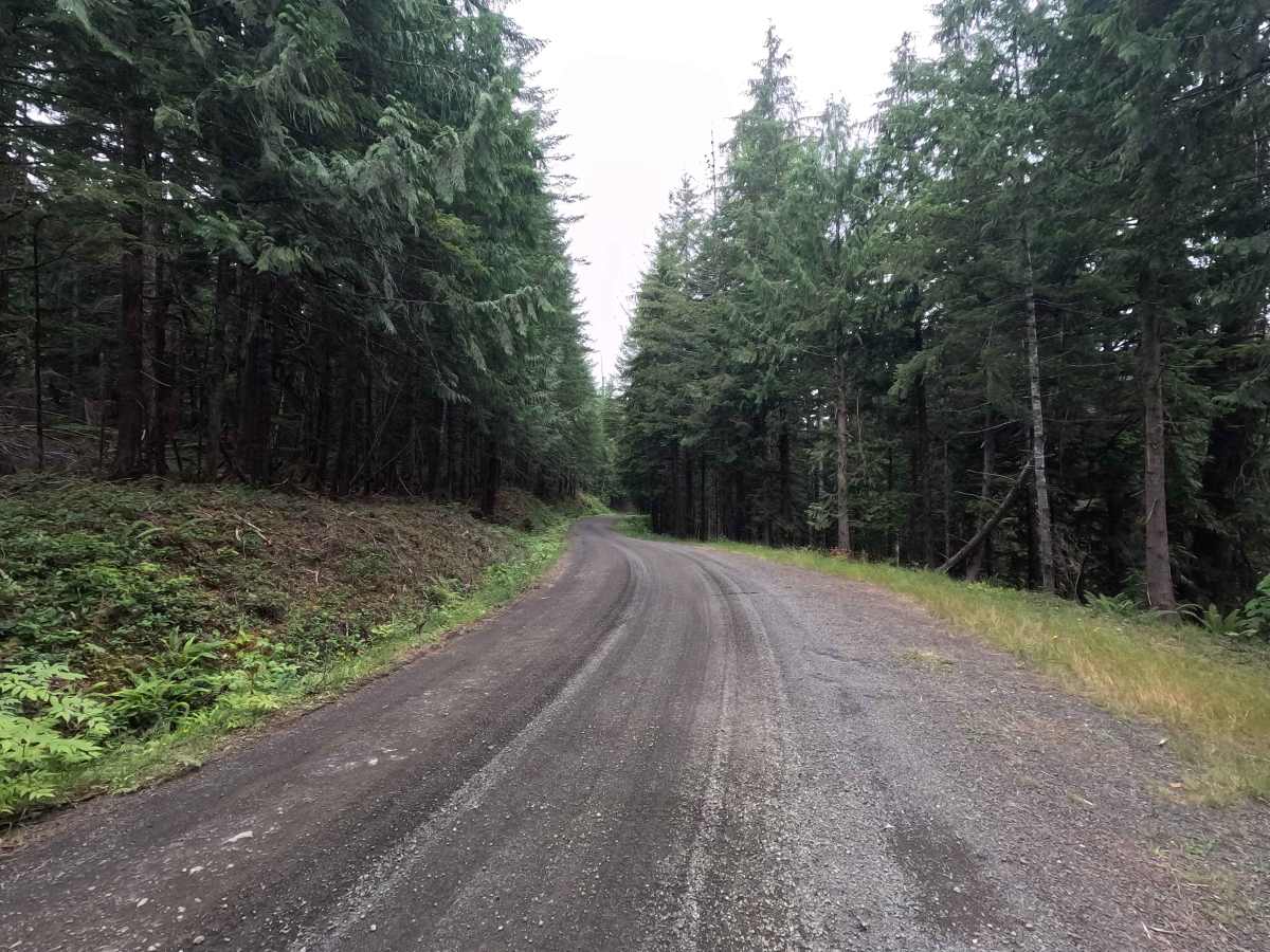 Church Creek Trailhead - FS 2361 photo 2