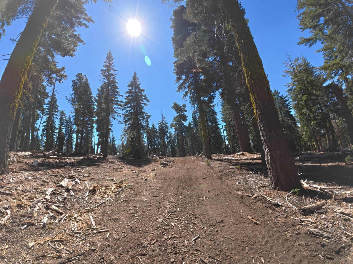 FS 17EV497 photo 4