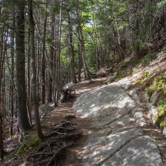 Near Mount Osceola Out and Back Near Mount Osceola Out and Back