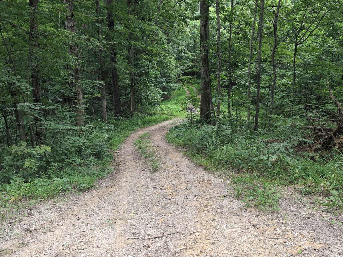 Elsam Fork Road - FS 345 photo 6