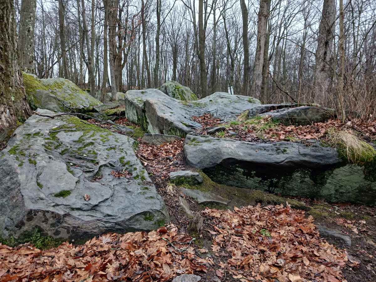 OHV 40 - Rock Run Recreation Area photo 2