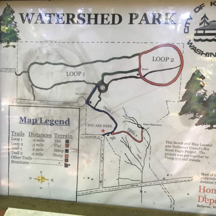 Near Watershed Park Main Trail