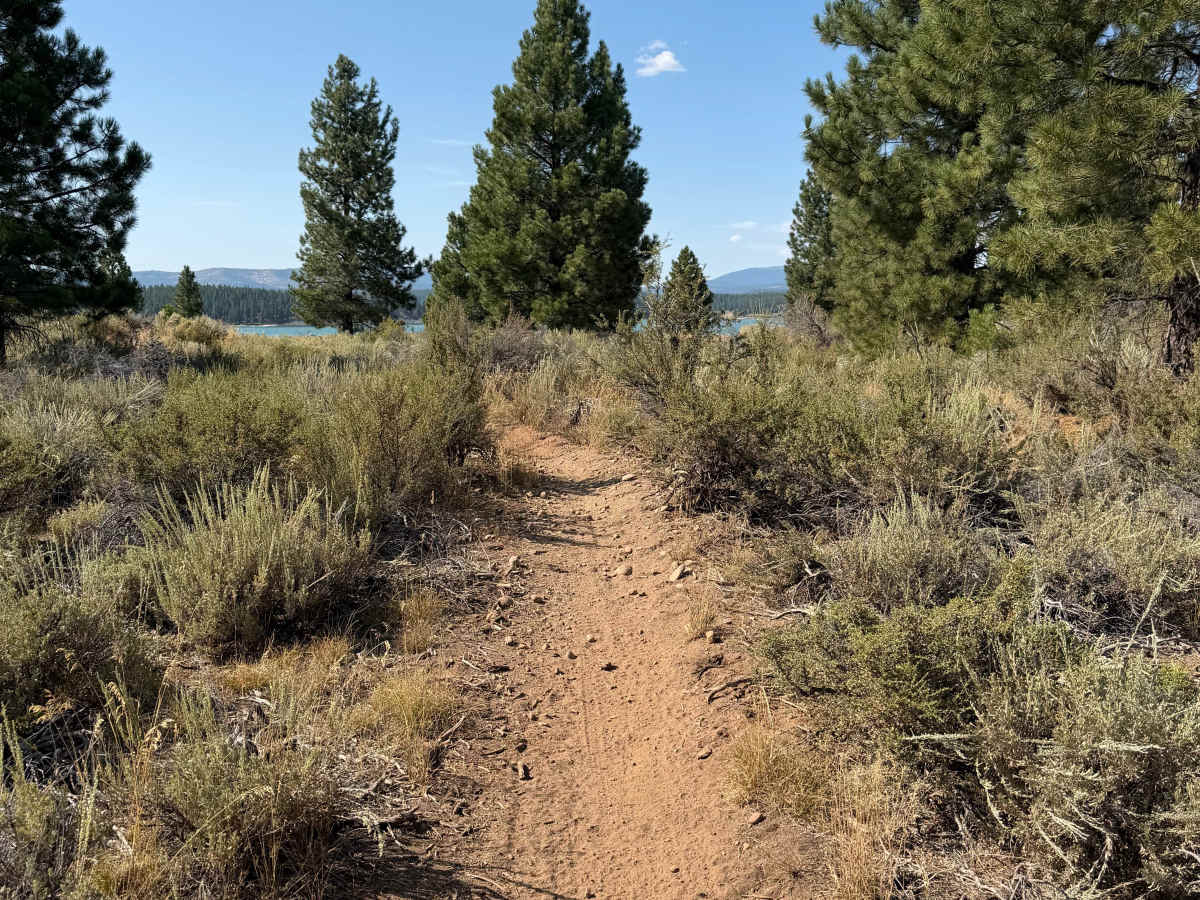 Poor Billy Trail photo 5