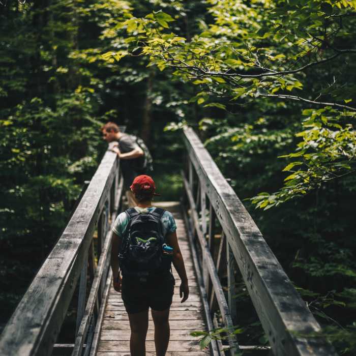 Crossing a bridge over Brewer's Brook on the Bucklin Trail. Near Bucklin Trail