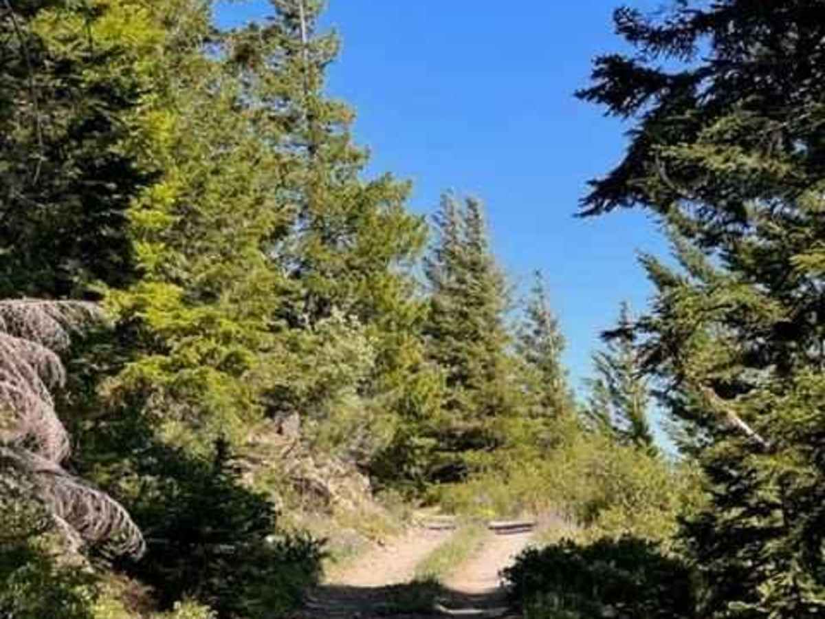 Badger Lake Via Bennett Pass photo 6
