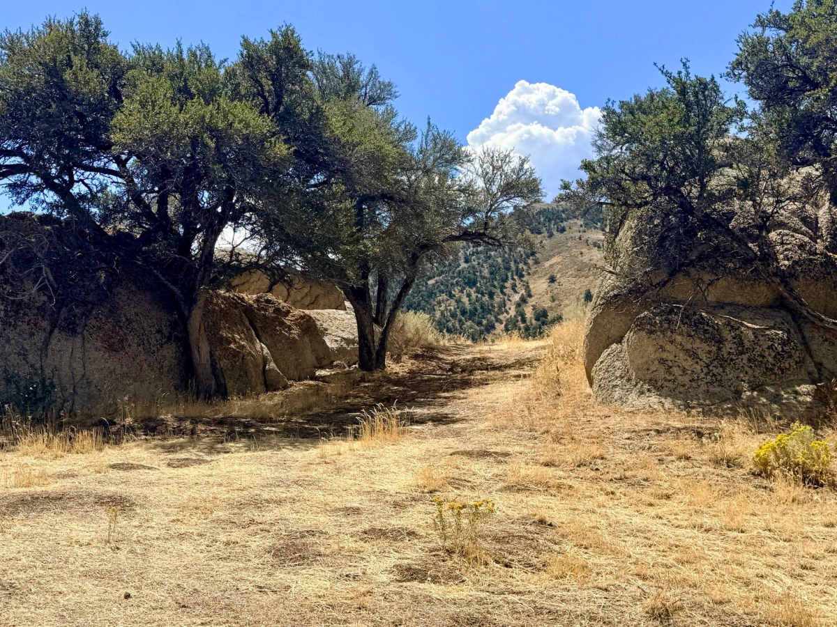  Lime Kiln Canyon - FS 57094 photo 5