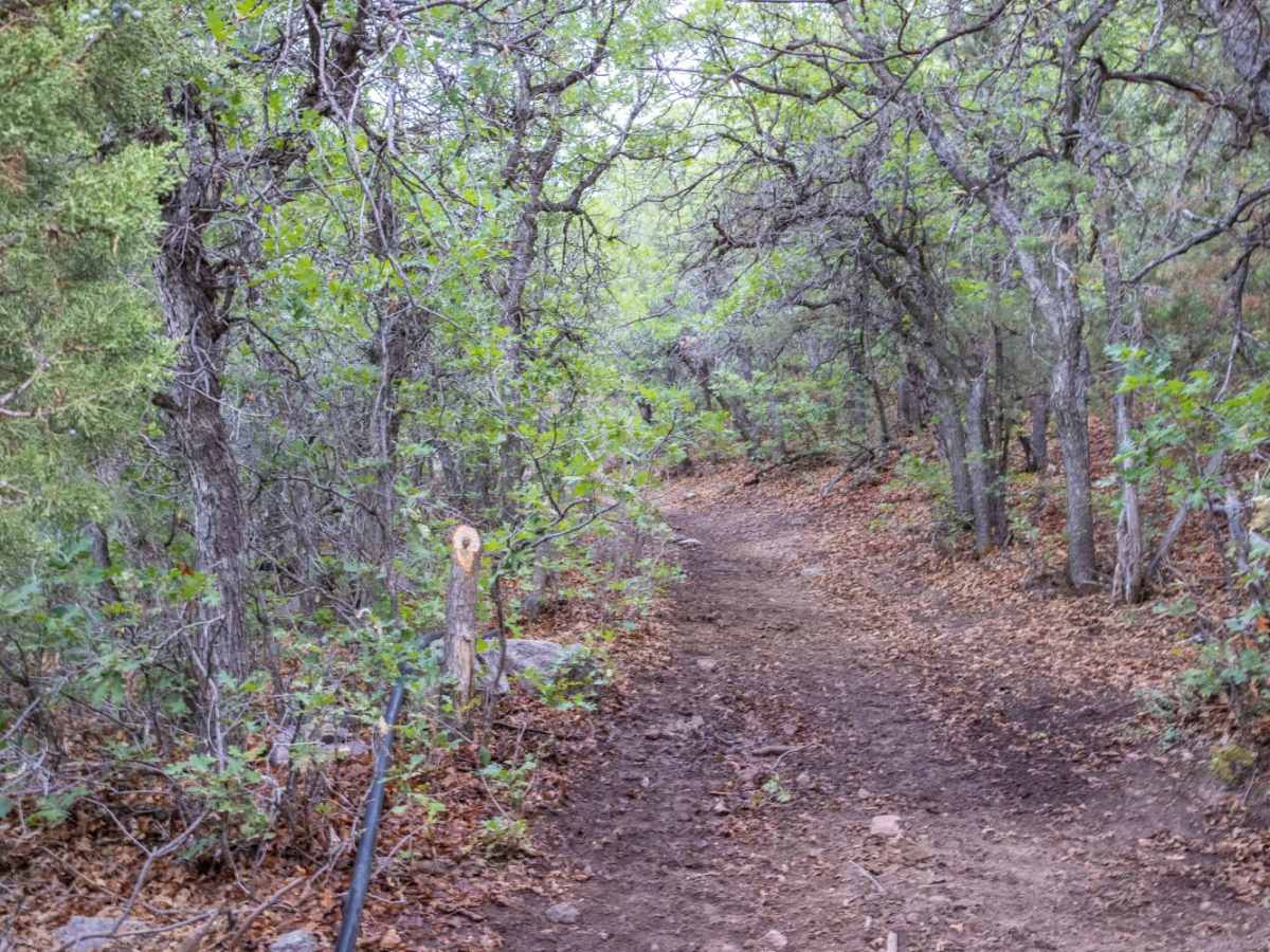 Teah Flat Trail photo 4