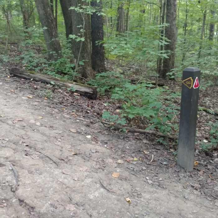 Near Adam Run Trail