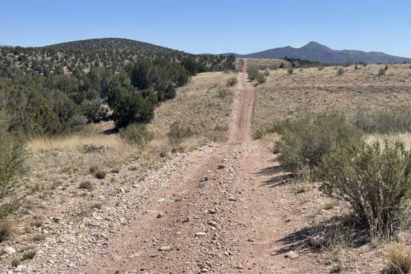 Muldoon's Dead End