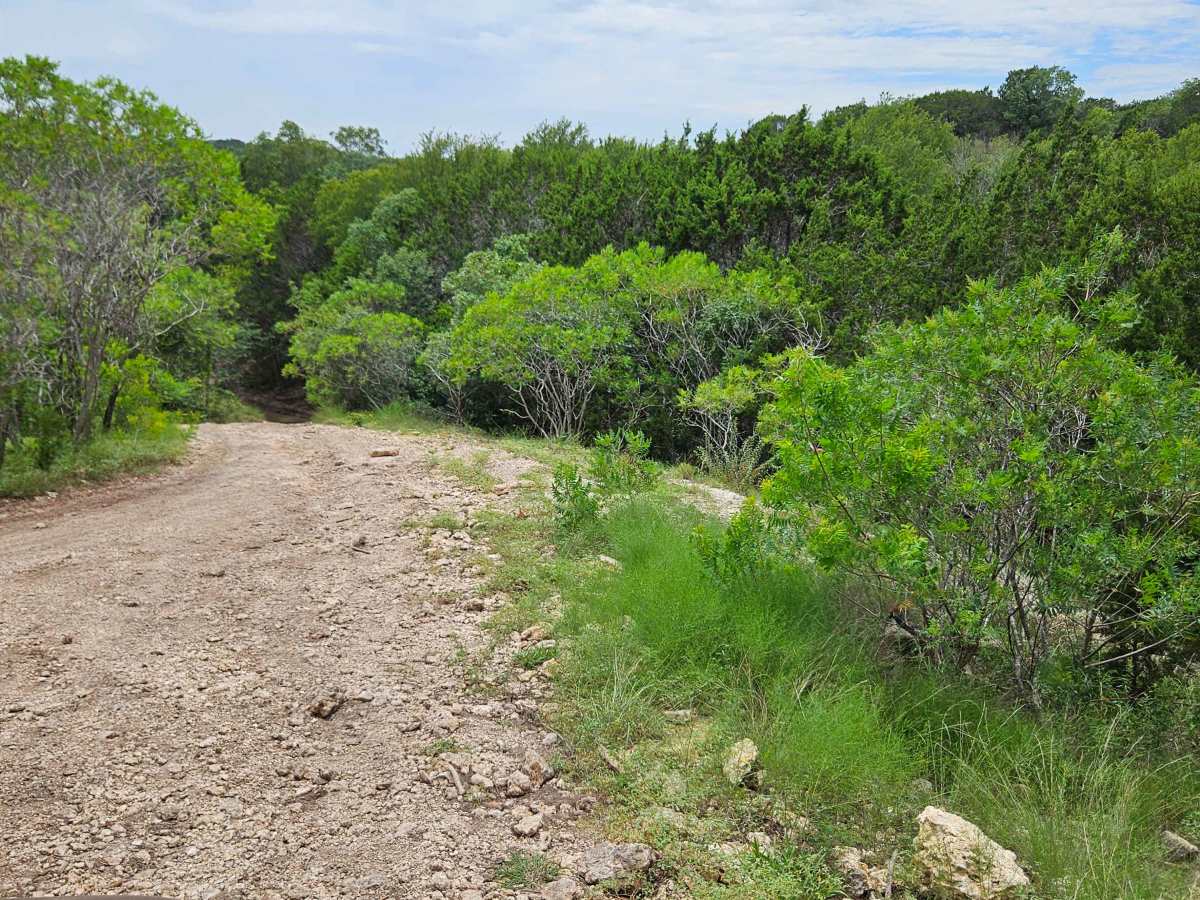 Cantina Trail photo 6