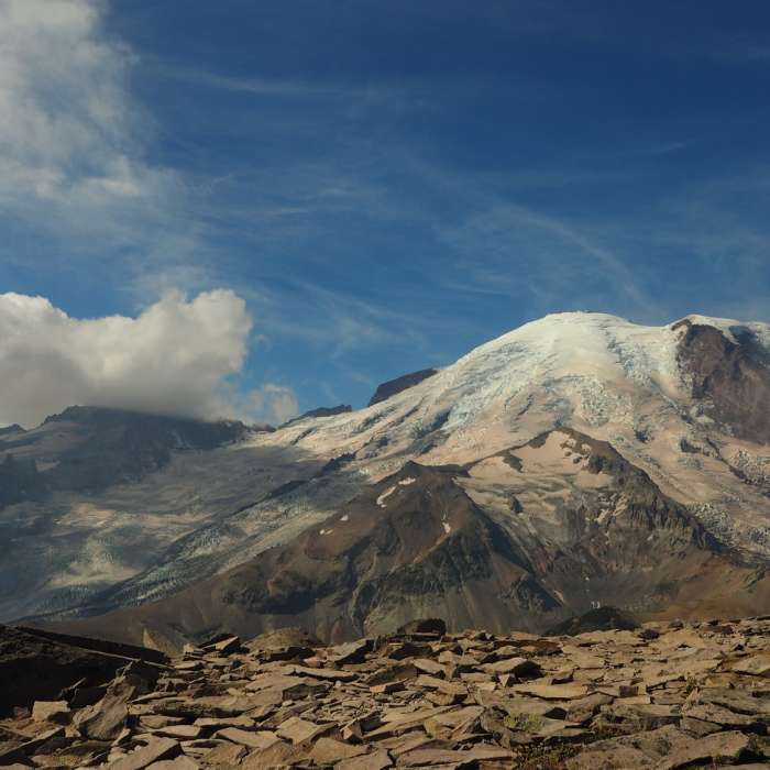 Near Burroughs Mountain Trail