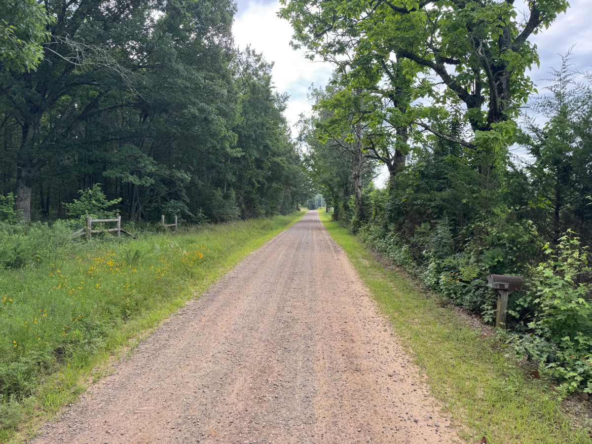County Road 4410 photo 3