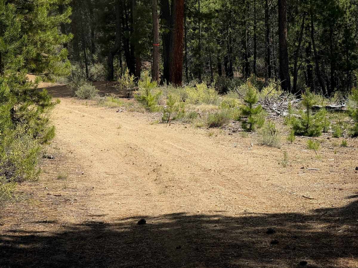Trail 28  photo 6