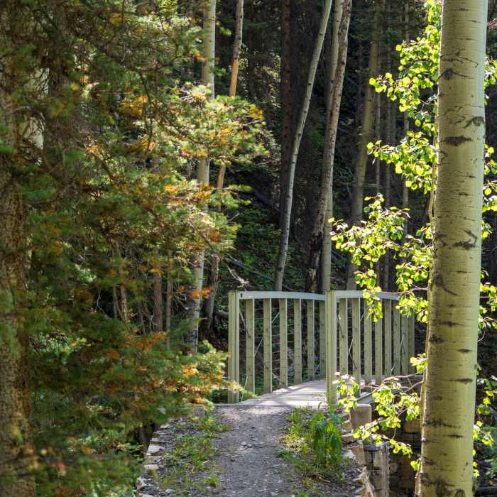 Near Mill Creek Waterline Trail