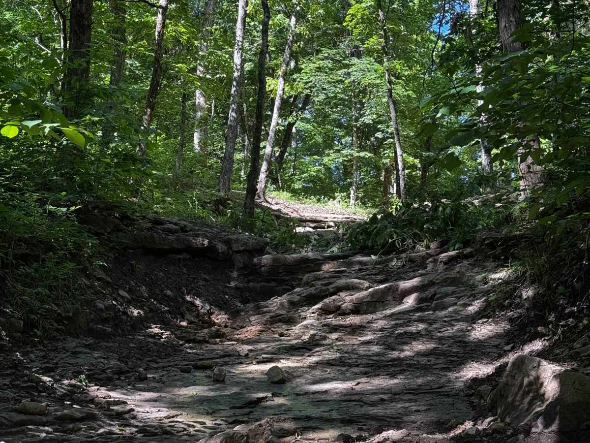 Inner Track 30 photo 2