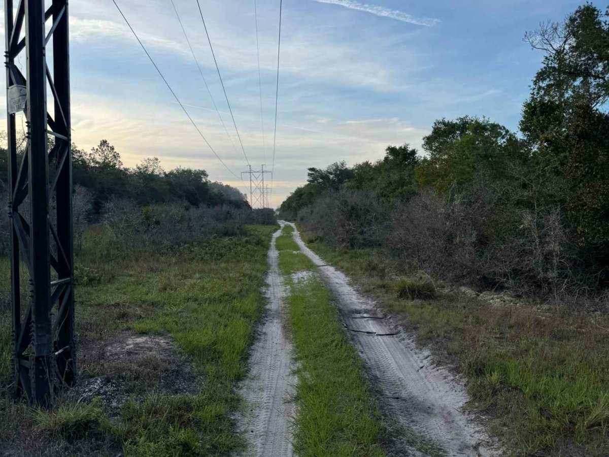 Powerline Plains photo 6
