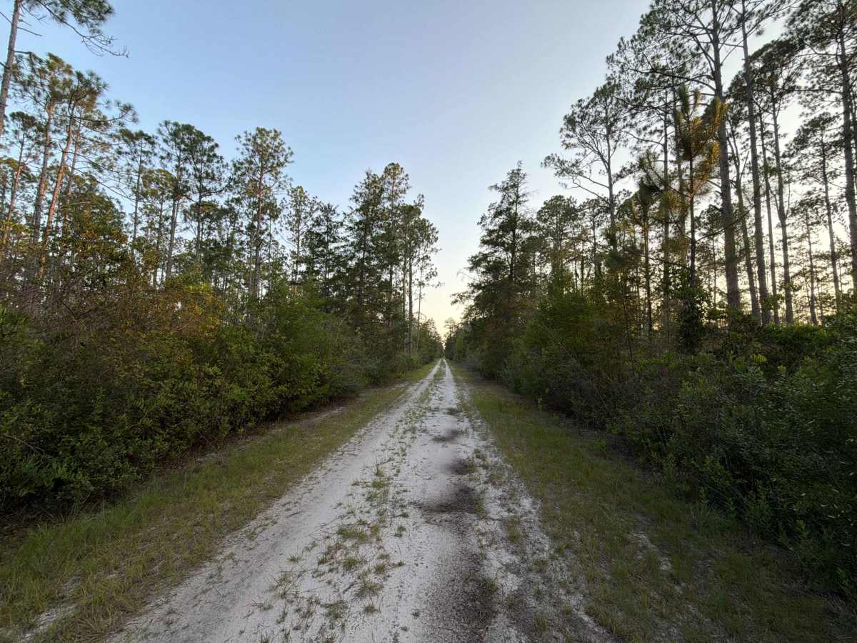 Trout Creek Road trail photo
