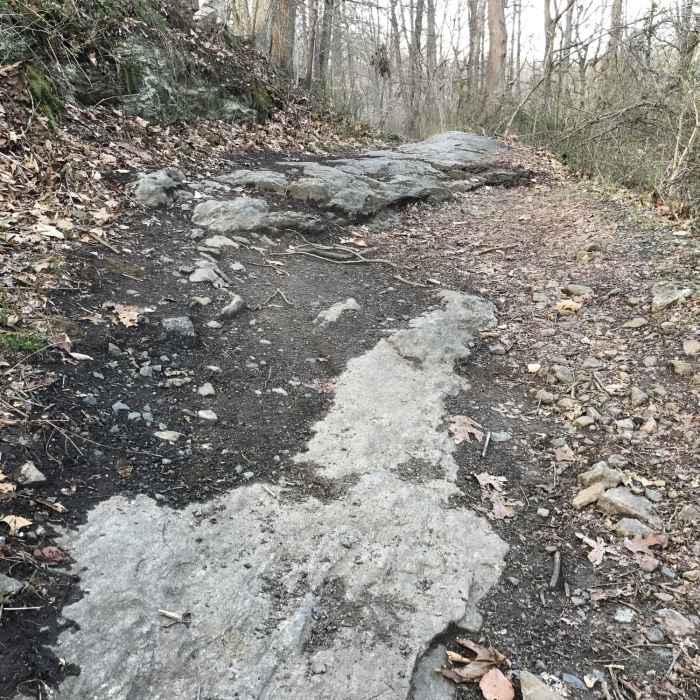 Near New Castle County Loop