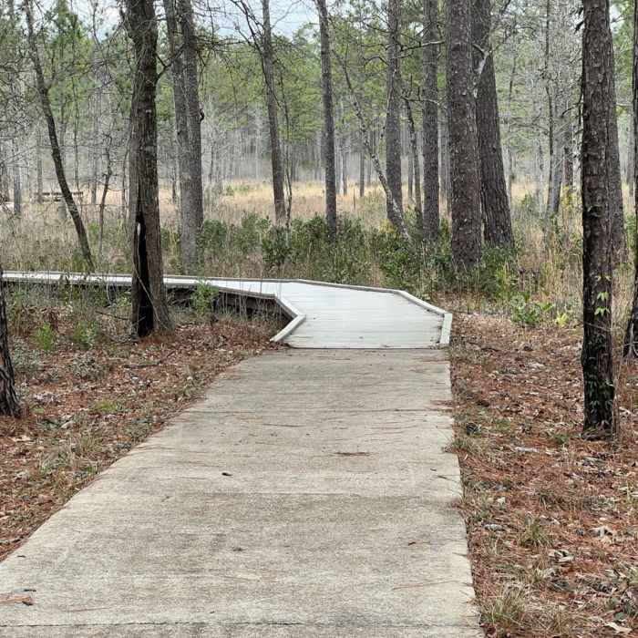 Near Pitcher Plant Trail