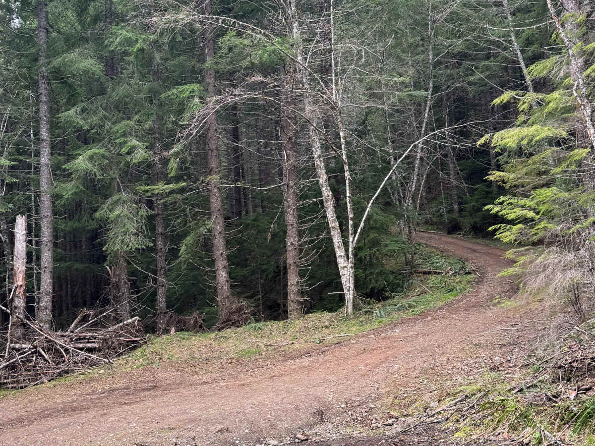 Watch Lake - FS 7561 photo 5