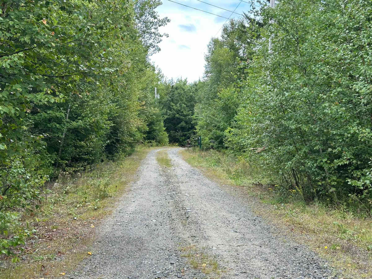 Forrest Moore Way photo 2