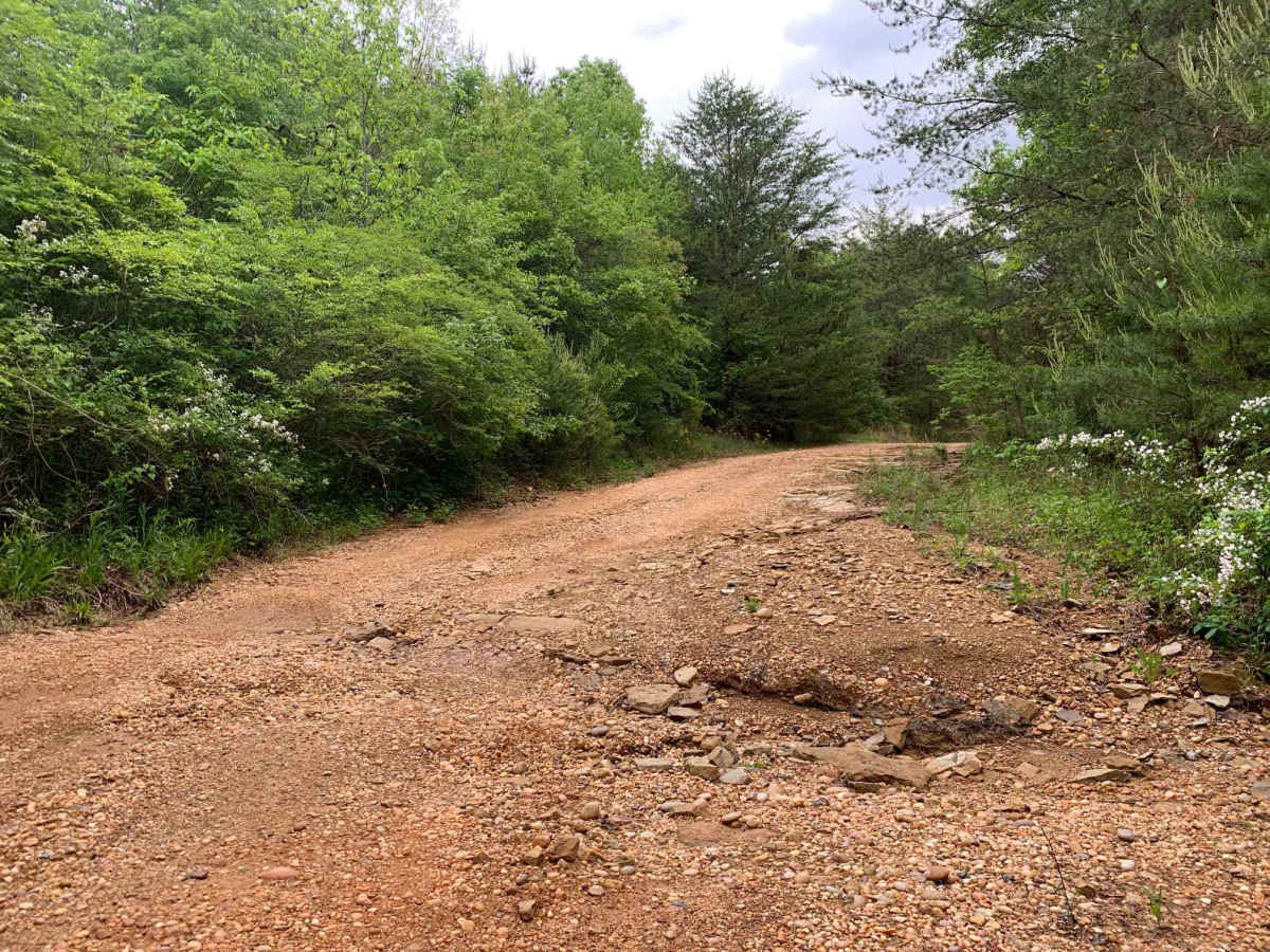 Turkey Creek Road trail photo