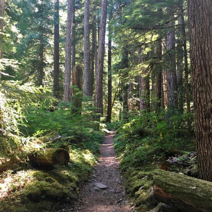 Near Pamelia Lake to PCT Loop