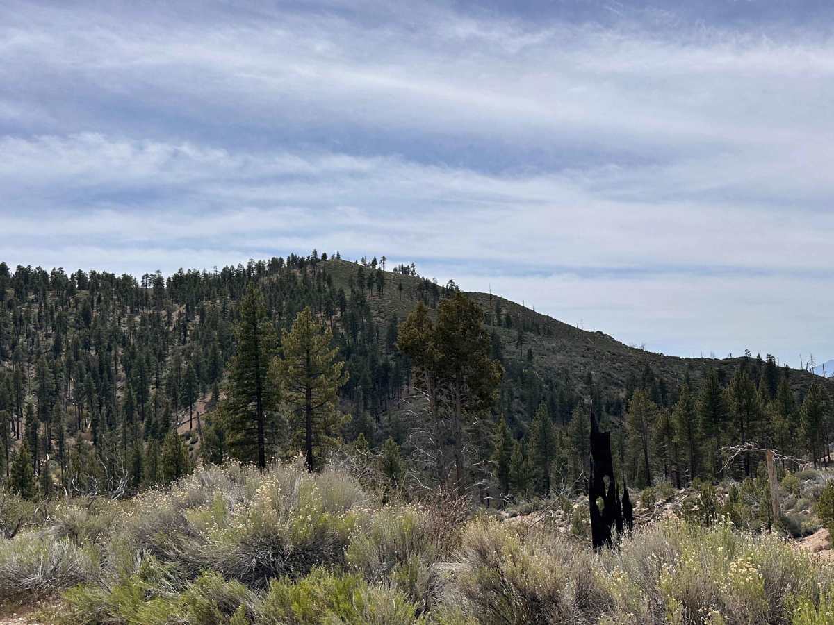 Upper Holcomb PCT photo 2