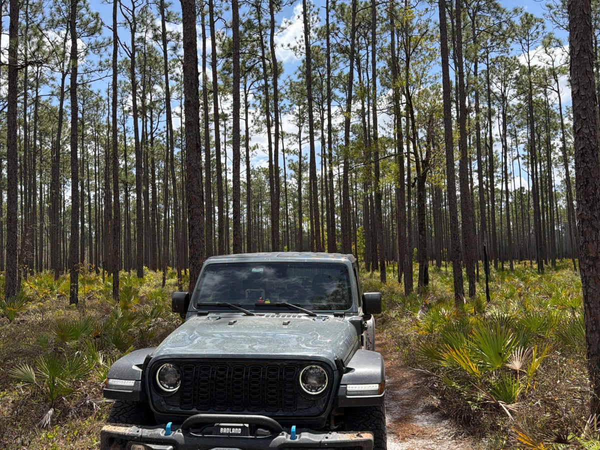 Firewood Loop - Apalachicola 364 C photo 5