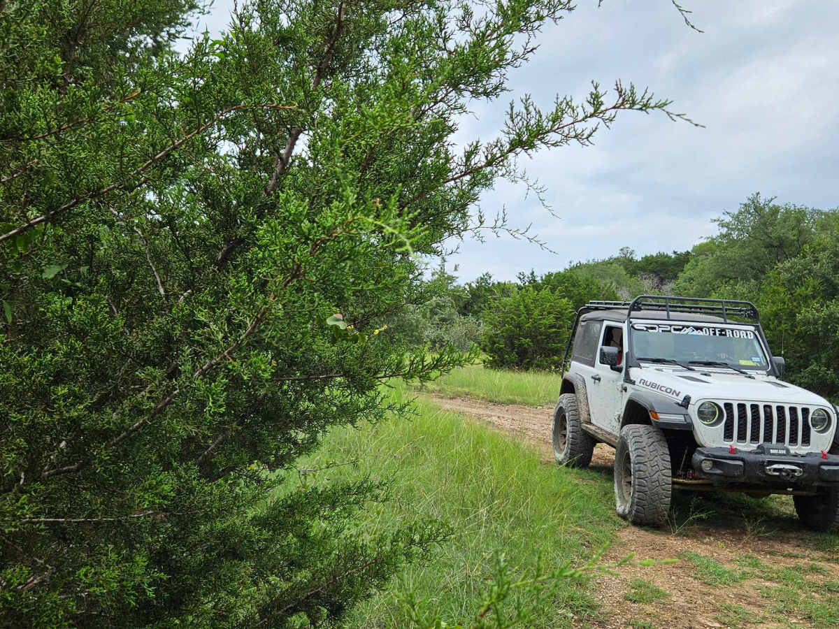 Buffalo Gap Run trail photo