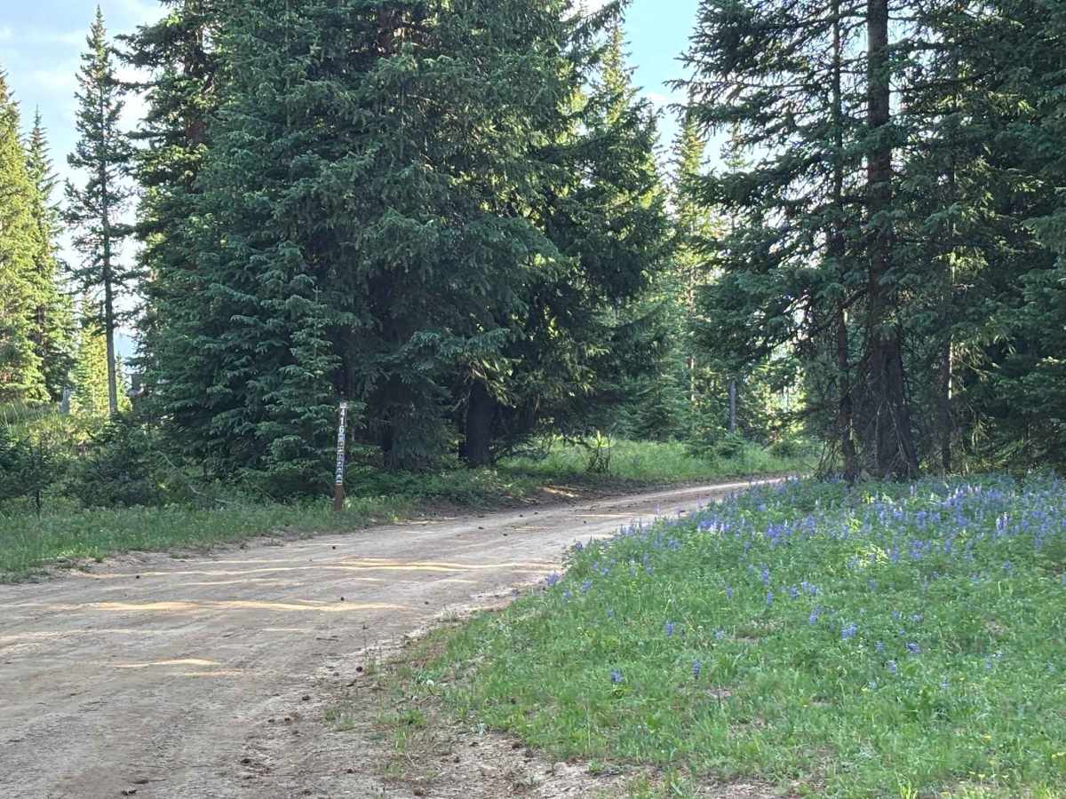 Hat Creek Road photo 2