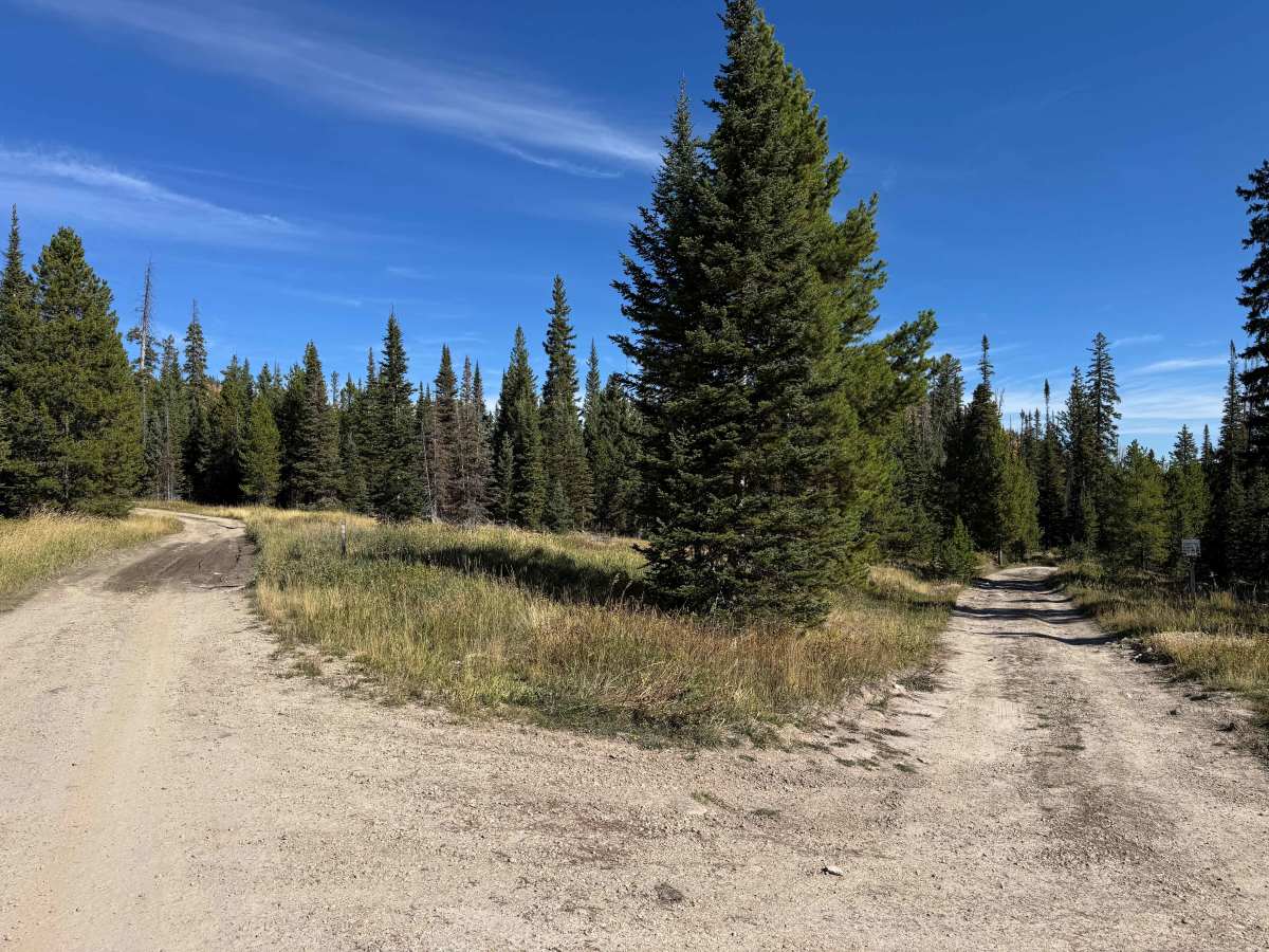 Iron Mountain Road photo 4