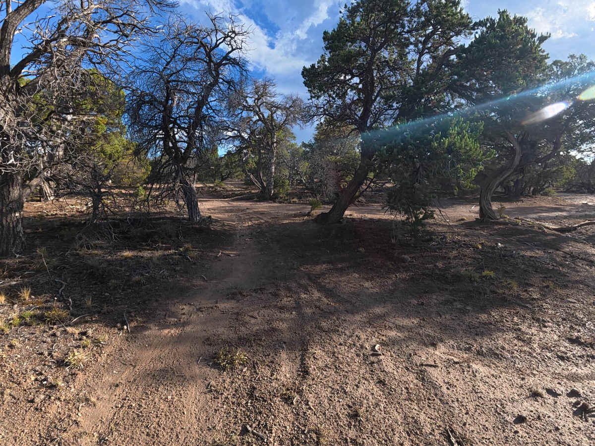 BLM 621 trail photo