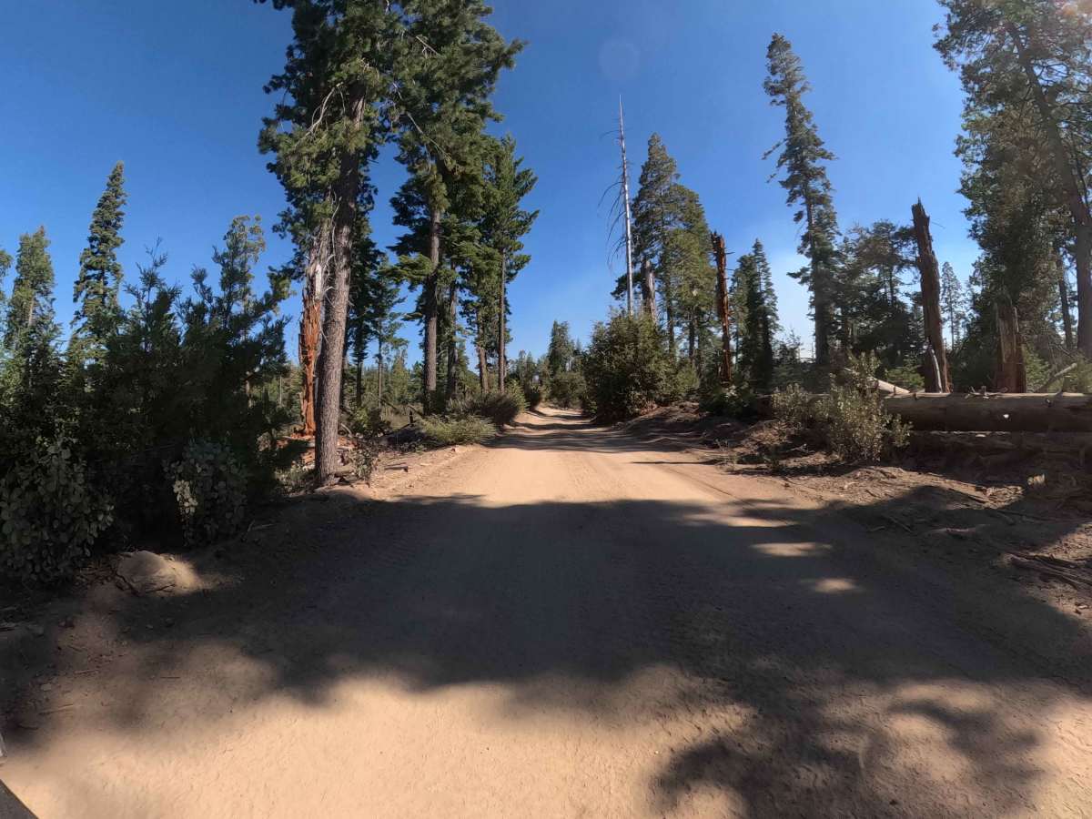Vista Dome - FS 6S088 photo 5