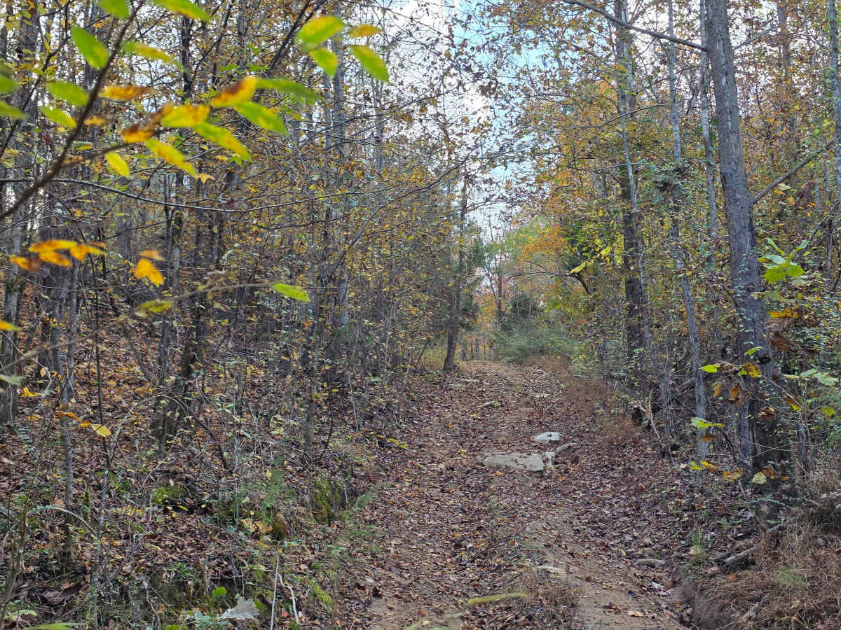 Snake Ditch photo 3