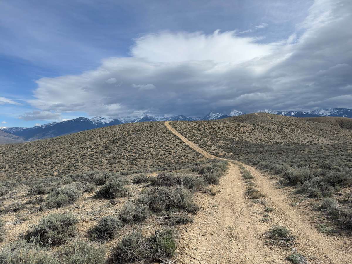BLM 129 photo 6