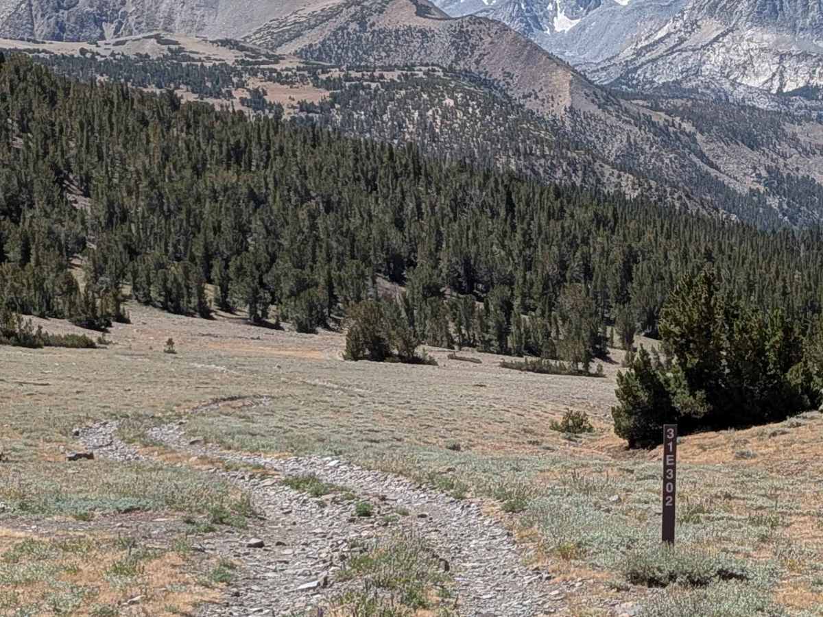 FS 31E302 trail photo