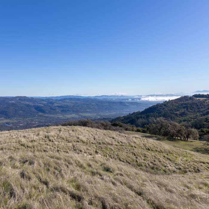 Near North Sonoma Mtn Trailhead to Sonoma Mtn Peak