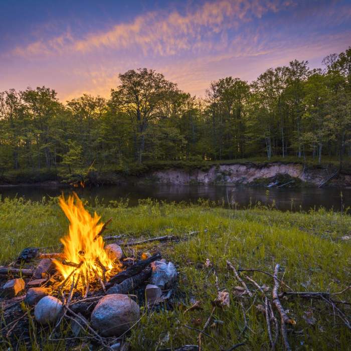 Near Manistee River Trail Loop Near Manistee River Trail Loop