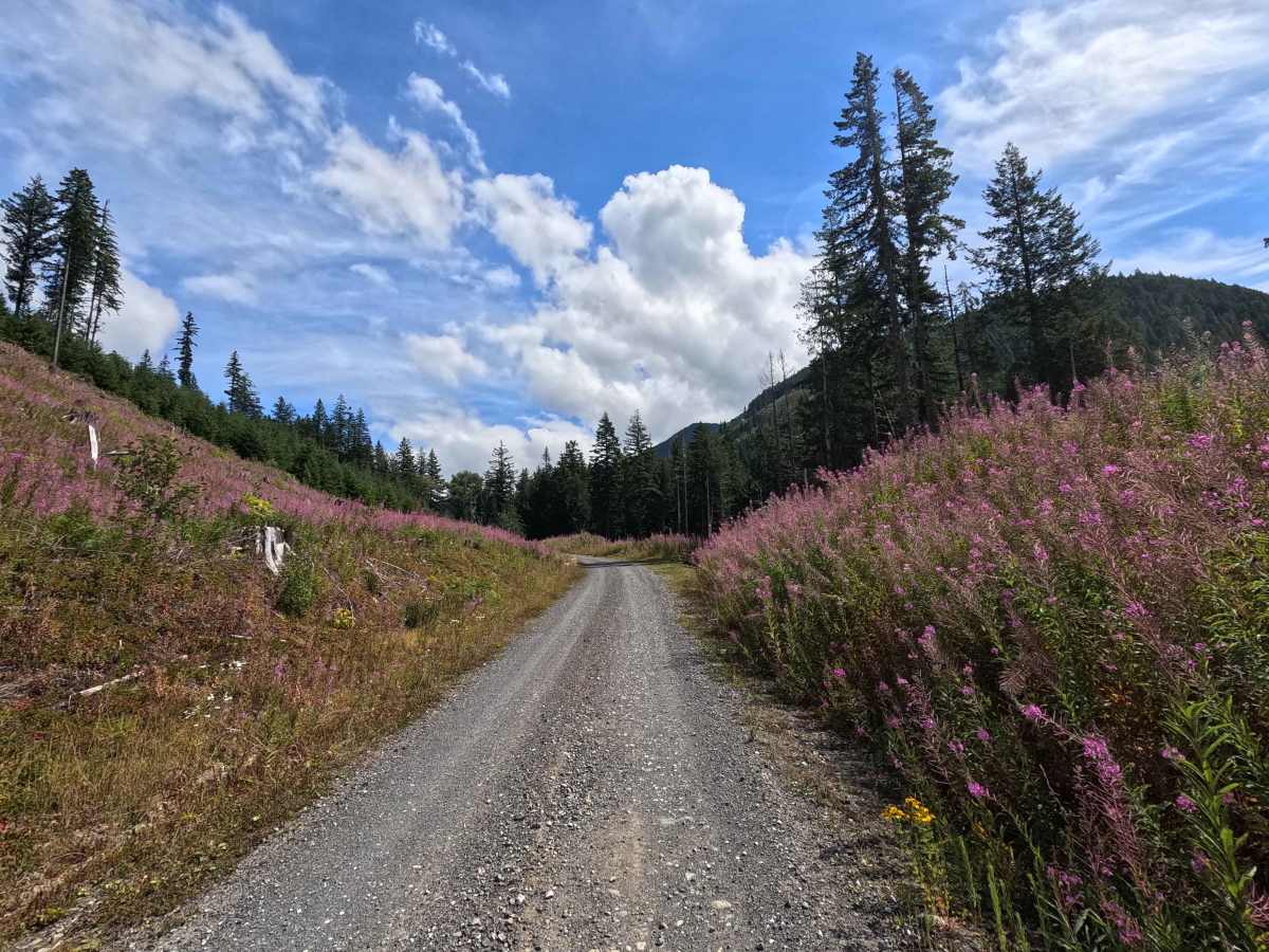 Clearwater Creek Mainline photo 2