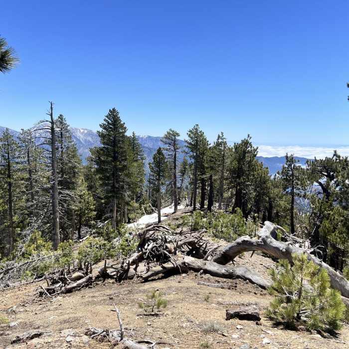 Near Crystal Lake Campground to Copter Ridge