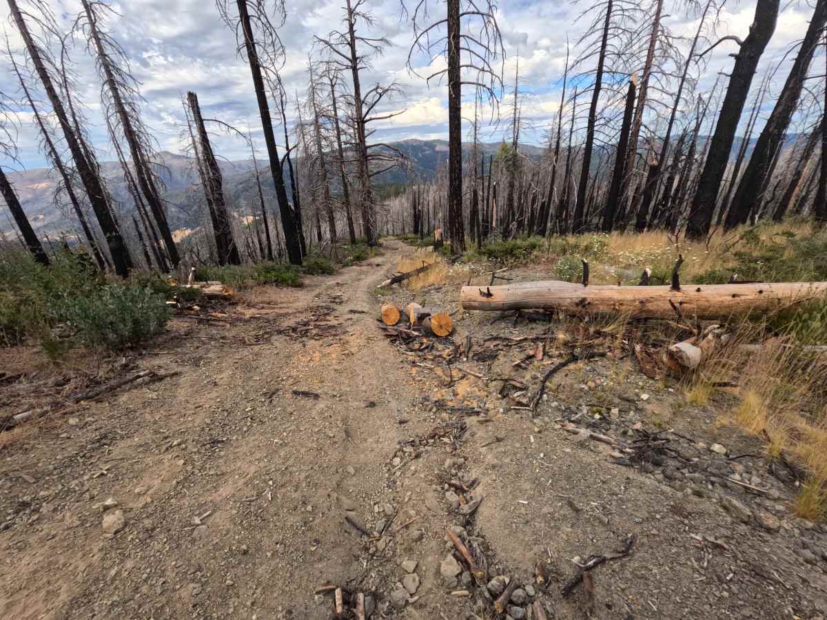 Buckhorn Ridge - FS 21N87 photo 2