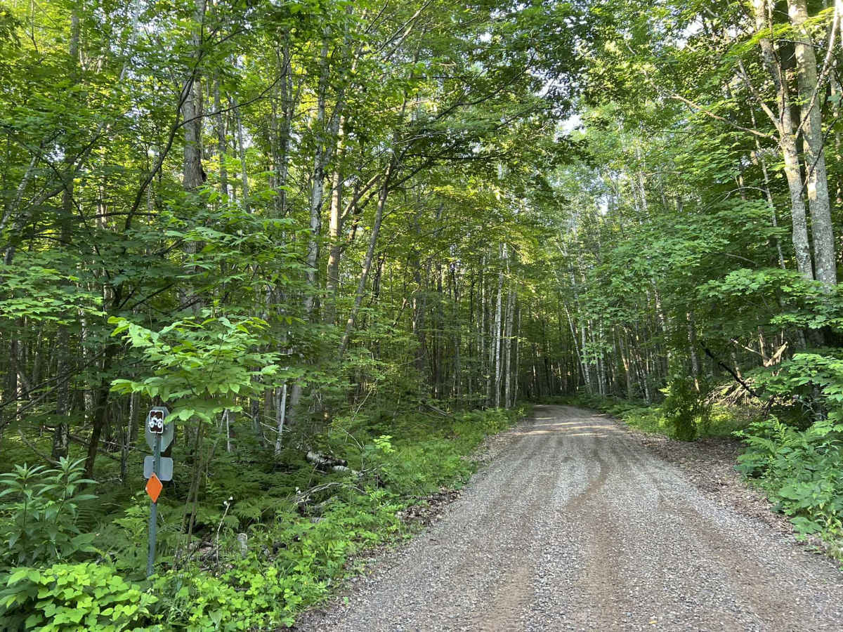 Fireside Market and Station Access Trail trail photo