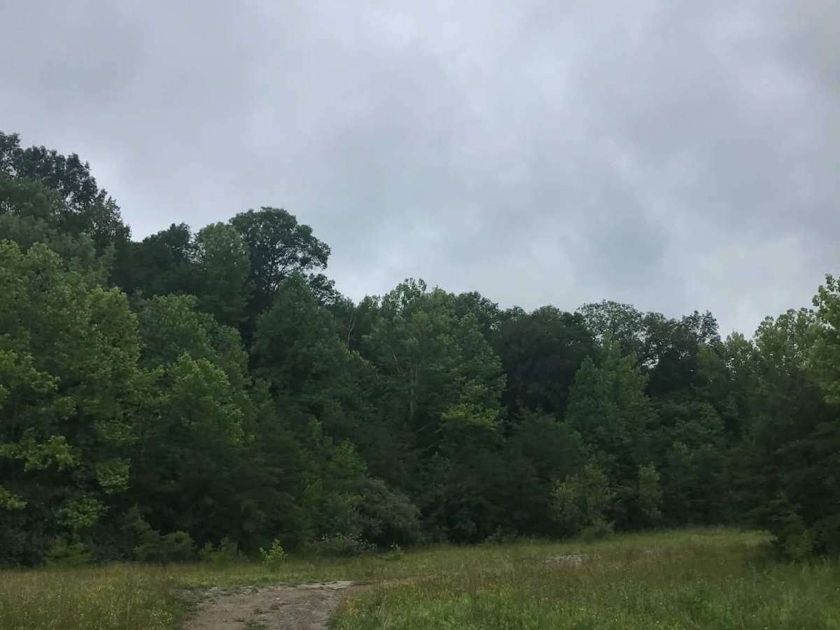 Brady Fork photo 2