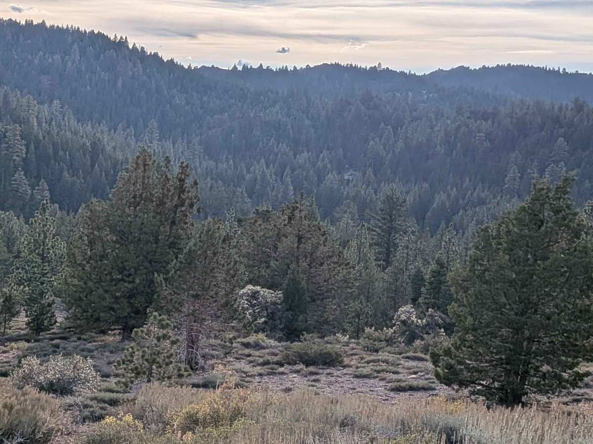 Leviathan Creek photo 5