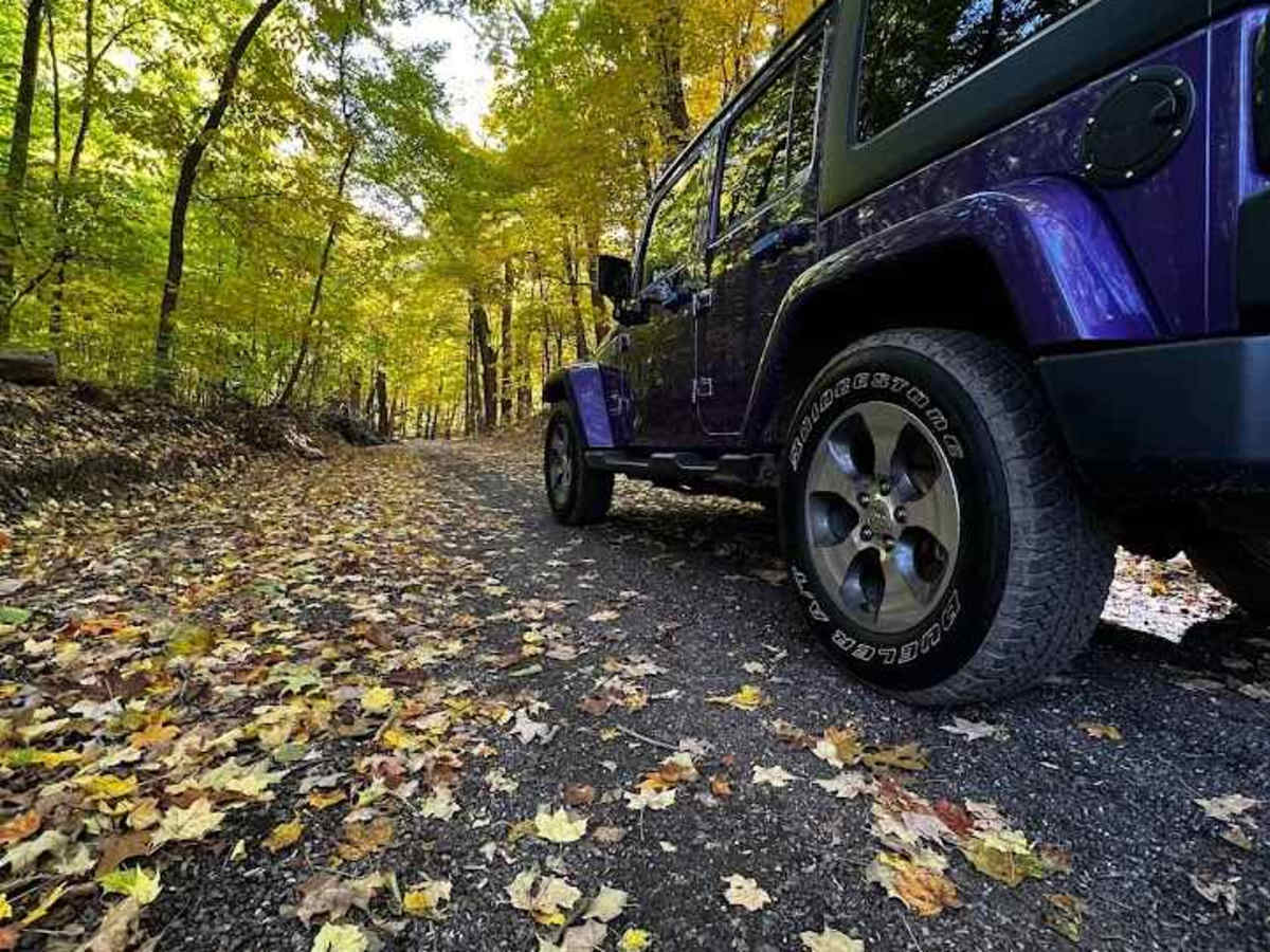 Yankee Springs Loop trail photo