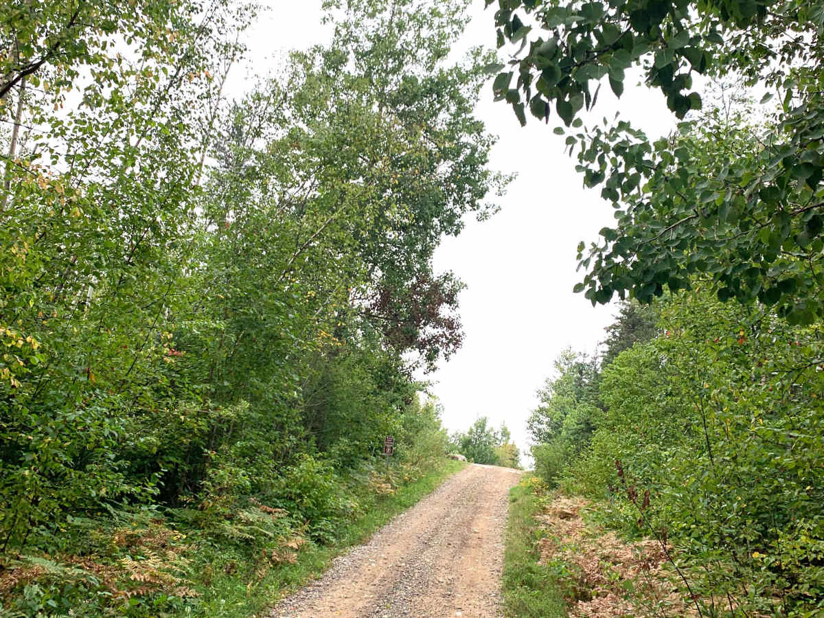 Vermigrade Spur D Trail photo 3