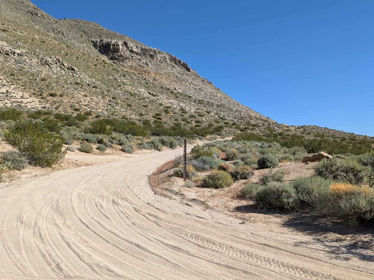 BLM SE115 trail photo