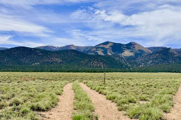 Sawmill Creek Loop Road - FS 44424