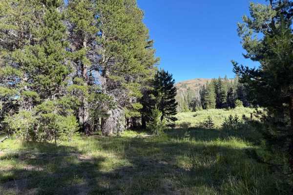 Upper Faith Valley Rd - FS 31093